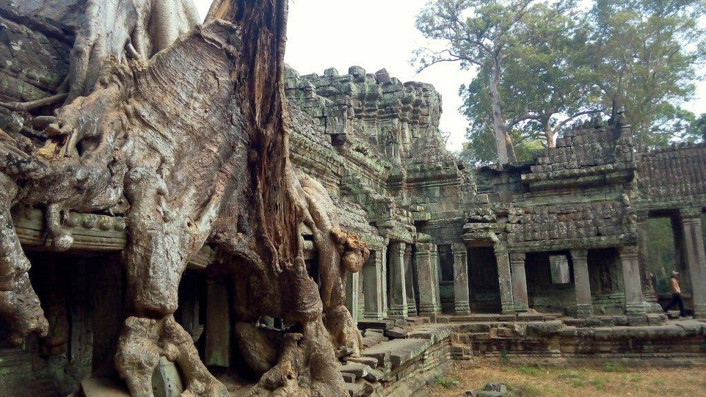 Best Temples Angkor Wat: Ta Phrom