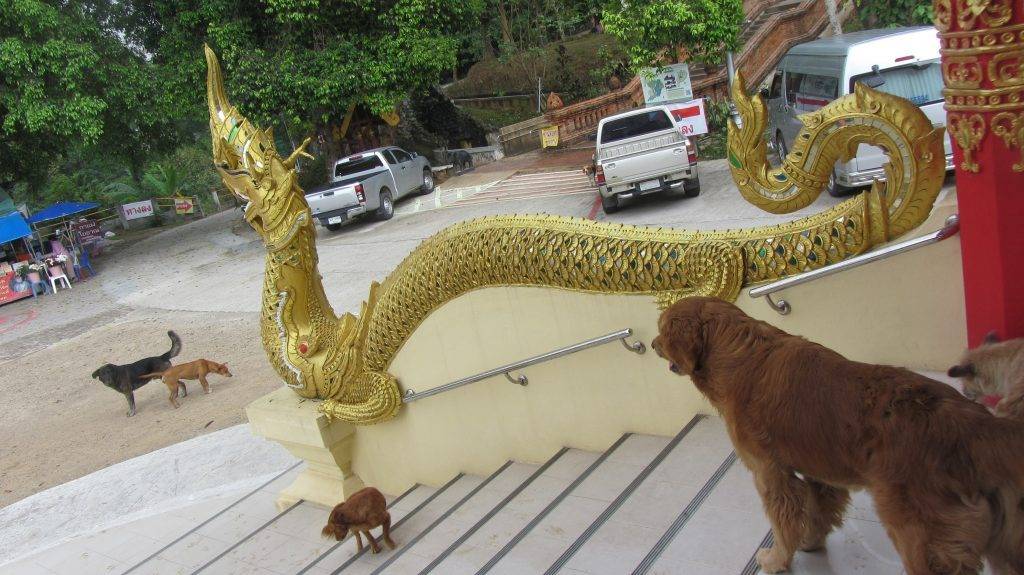 Wat Doi Yong Chiang Rai