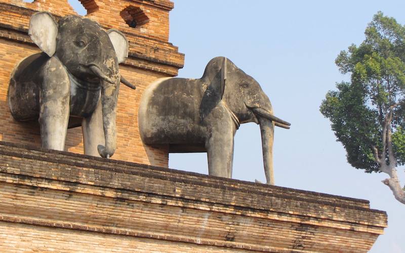 Chiang Mai vs Chiang Rai - Elephants on Chedi Luang
