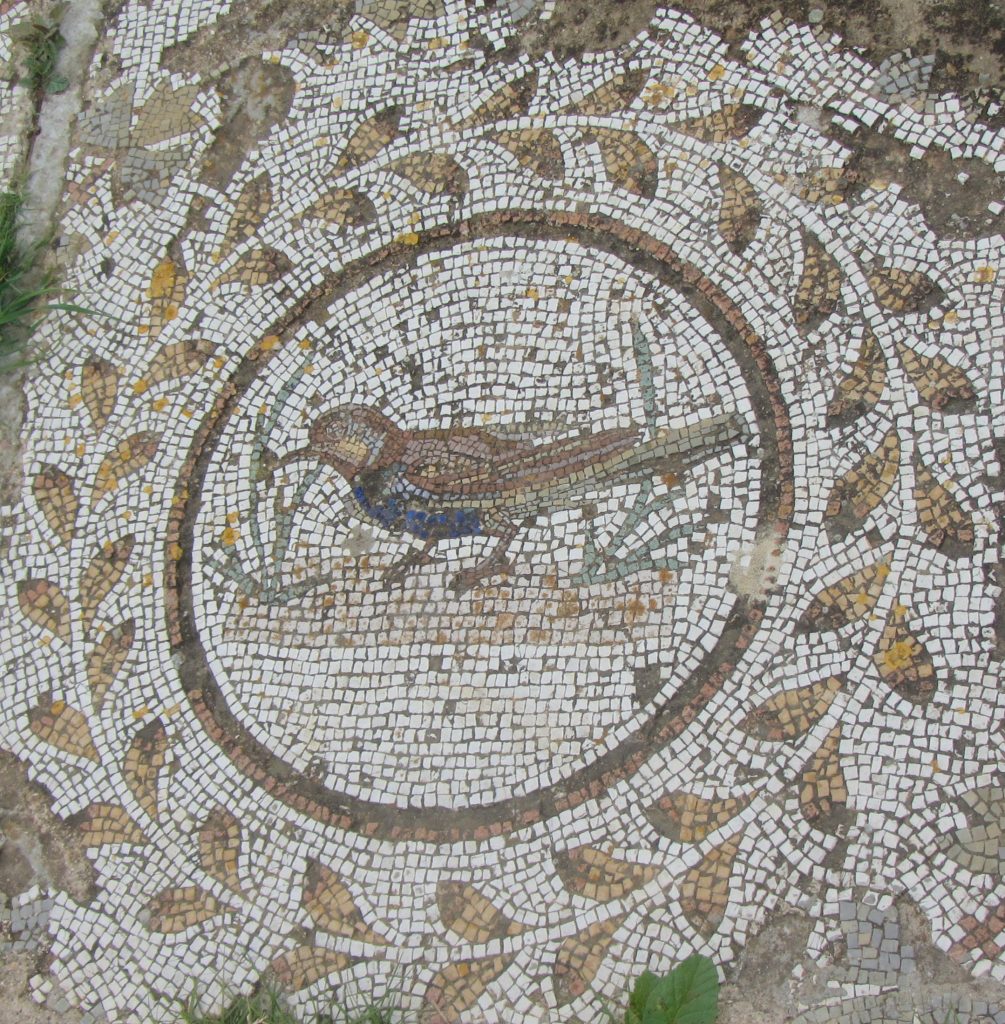 Pupput bird mosaic