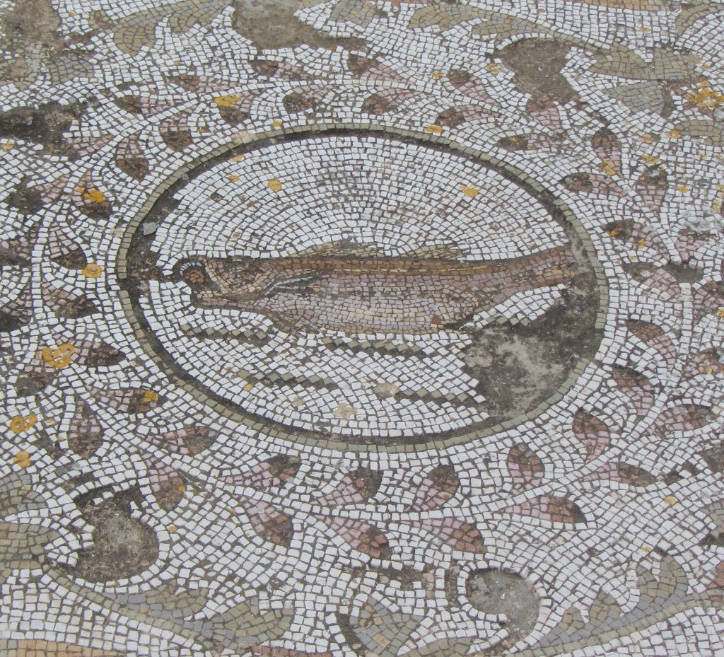 Pupput fish mosaic