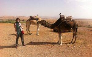 camel trekking Morocco