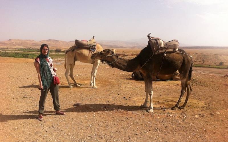 Backpacking Africa - camel trekking Morocco