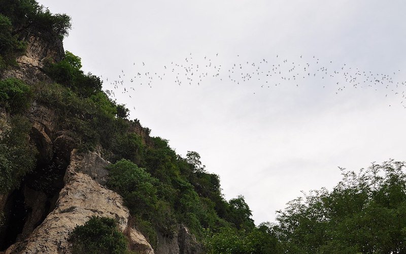 Cambodia travel blog - Battambang Bat Cave
