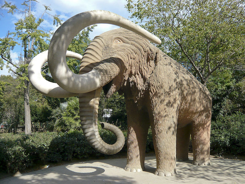 elephant in park ciutadella