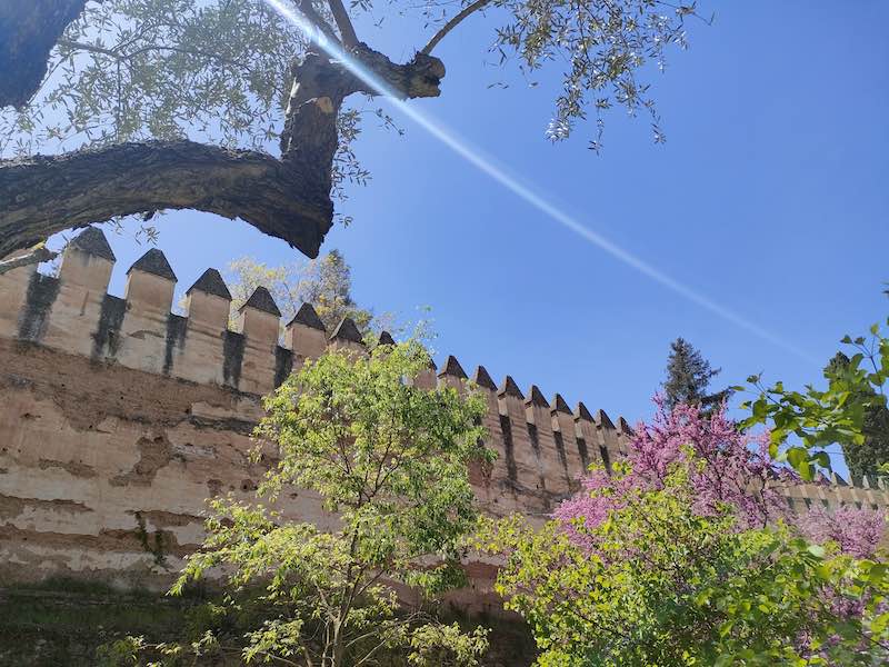 Alhambra palace walls
