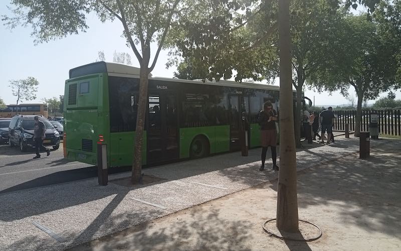 Madinat Al Zahra Green Transfer Bus