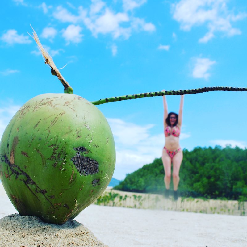 hanging off a mango honda bay