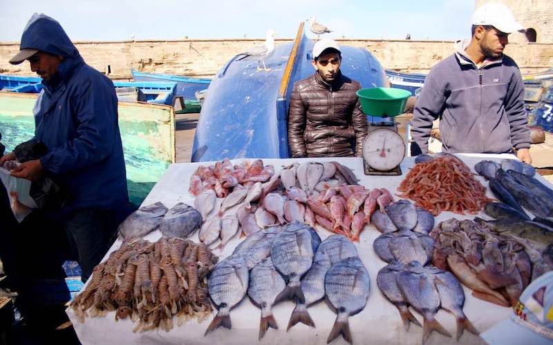 Fish market things to do in Essaouira