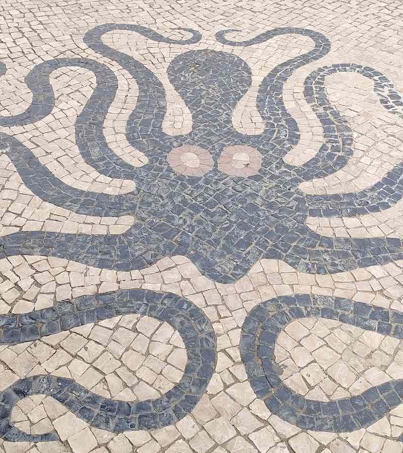 Octopus Calcadas Lagos