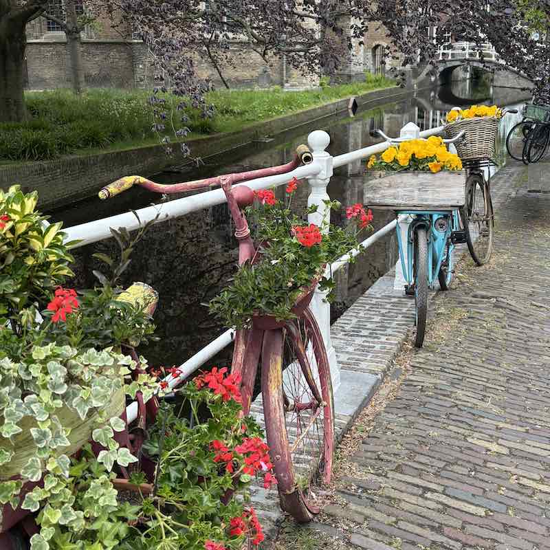 Beautiful Delft flowers bikes canals