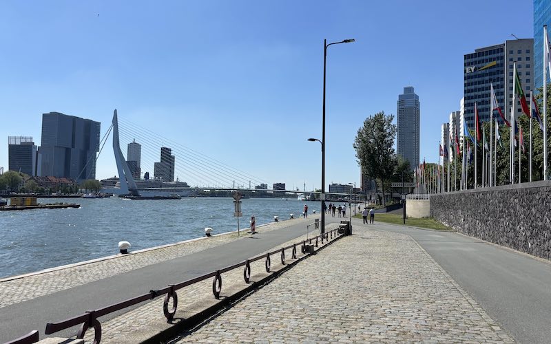 Erasmus bridge and riverside Rotterdam